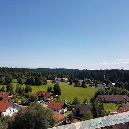 Fewo Nationalpark Schwarzwald Apartment Freudenstadt Luaran gambar