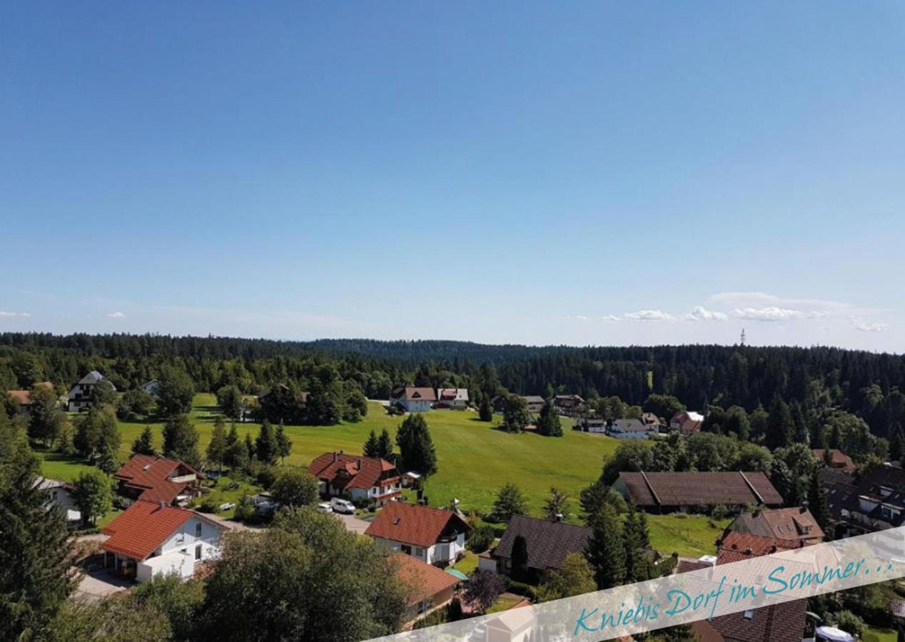 Fewo Nationalpark Schwarzwald Apartment Freudenstadt Luaran gambar