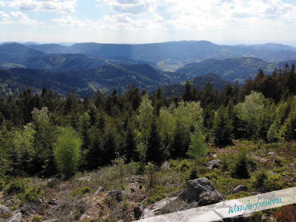 Fewo Nationalpark Schwarzwald Apartment Freudenstadt Luaran gambar