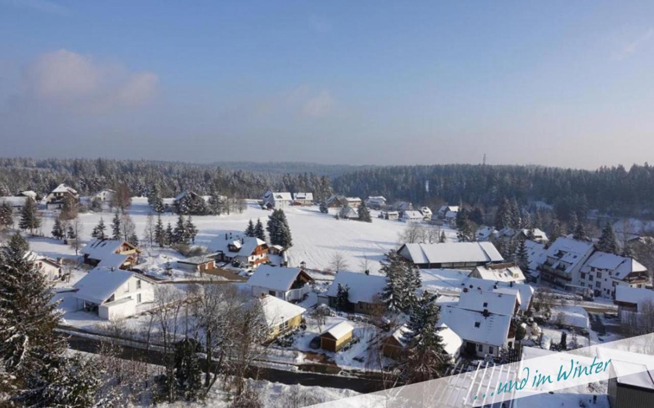 Fewo Nationalpark Schwarzwald Apartment Freudenstadt Luaran gambar