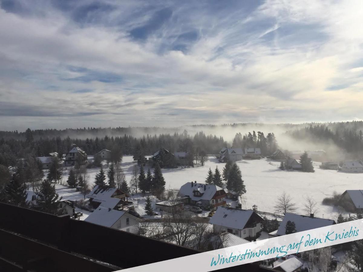 Fewo Nationalpark Schwarzwald Apartment Freudenstadt Luaran gambar