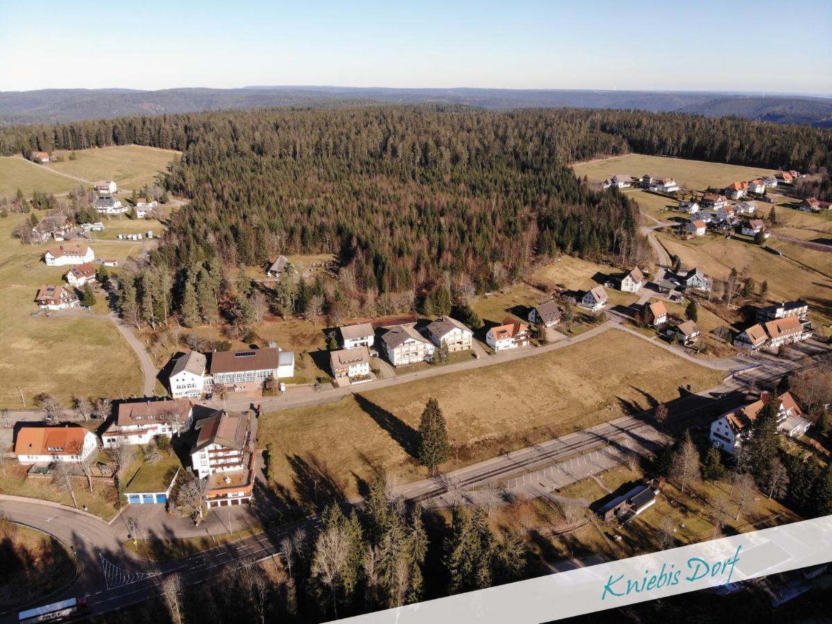 Fewo Nationalpark Schwarzwald Apartment Freudenstadt Luaran gambar