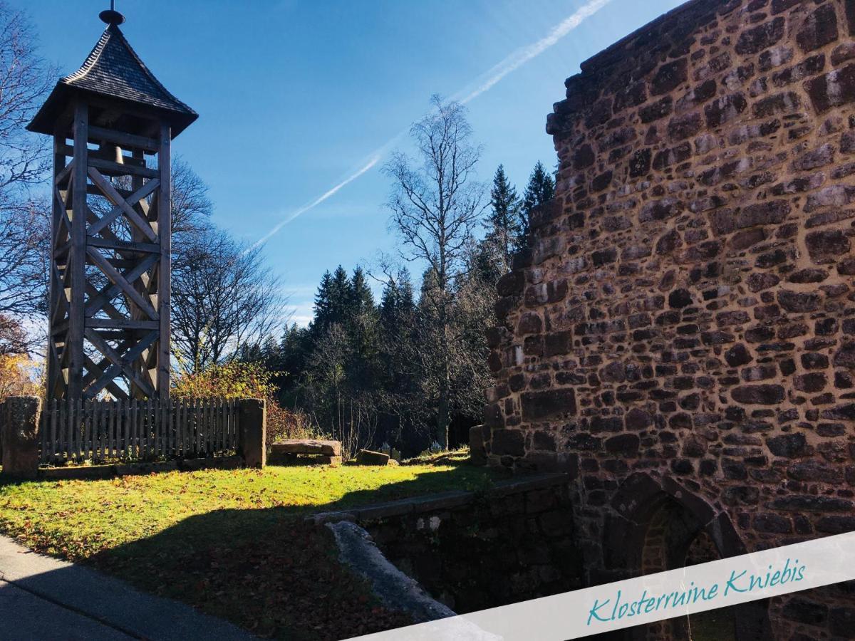 Fewo Nationalpark Schwarzwald Apartment Freudenstadt Luaran gambar