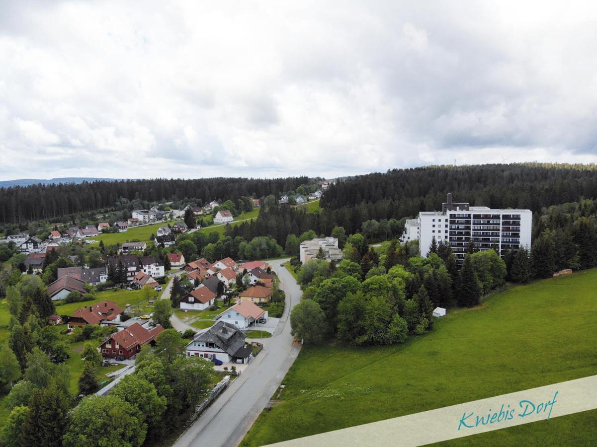 Fewo Nationalpark Schwarzwald Apartment Freudenstadt Luaran gambar